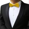 JEMYGINS Yellow Bow Tie and Pocket Square With Cufflinks Sets for Men (yellow) view 3