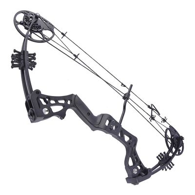 ZSHJGJR Archery Compound Bow for Youth and Beginner Youth Hunting Bow for Target Practice Shooting Hunting 18"-29" 15-45lbs (Black)