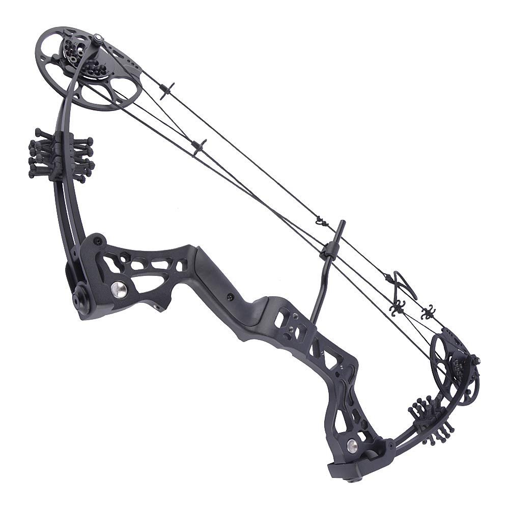 ZSHJGJR Archery Compound Bow for Youth and Beginner Youth Hunting Bow for Target Practice Shooting Hunting 18"-29" 15-45lbs (Black)
