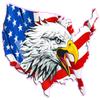 United States American Flag Eagle Head Decal (48" x 31") view 1