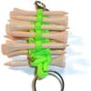 RedVex Paracord Golf Tee Holder - Metal Clip - Choose Color and Tee Count (Lime Green, 10-Tee Holder) view 3