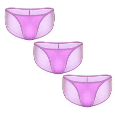 Andongnywell 3 Pack Men's 3 Pack Micro Modal Separate Pouch Briefs Underpants Knickers Panties Lingerie (Purple,Medium)