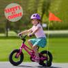 Anley 6Ft Bike Safety Flag with Fiberglass Pole & Mounting Bracket - Adjustable Length, High Visibility & Tear Resistant - Double Sided Bicycle Trailer Safety Flags for Kids & Adults (Orange) view 2