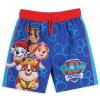 Paw Patrol Skye Chase Marshall Little Boys Pullover Rash Guard and Swim Trunks Outfit Set Team Paw 7 view 3