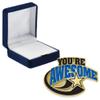 Crown Awards Youre Awesome Pins, Youre Awesome Pin with Blue Velvet Presentation Case, 30 Pack, Prime view 1