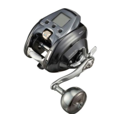 Daiwa 21 Seaborg 300J