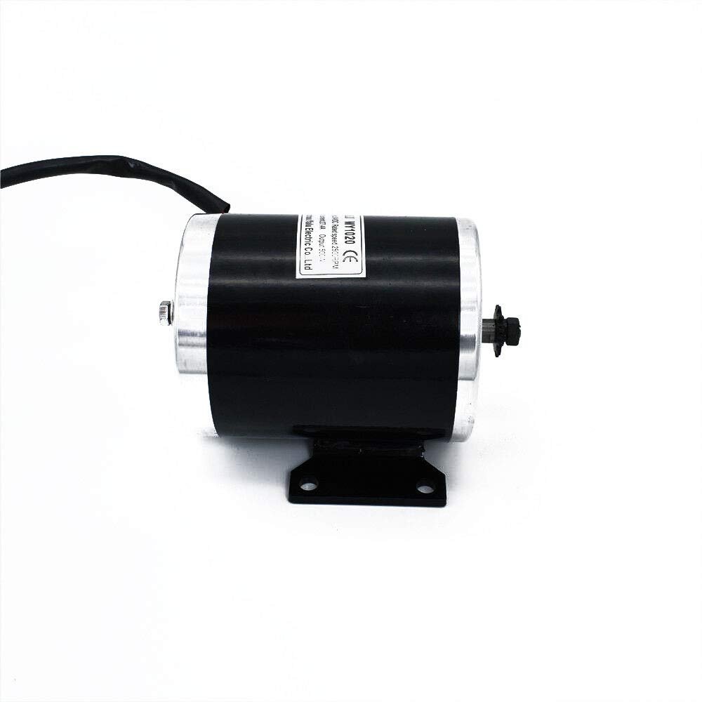 Electric Brushed Motor MY1020 750W High Speed Brush DC Motor for Small Electric Cars,Mini Scooter 36V 48V DC (48V)