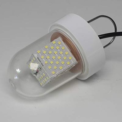 DC 12V 60W Green Underwater Super Bright Lamp Submersible Deep Drop Night Fishing Light (White)