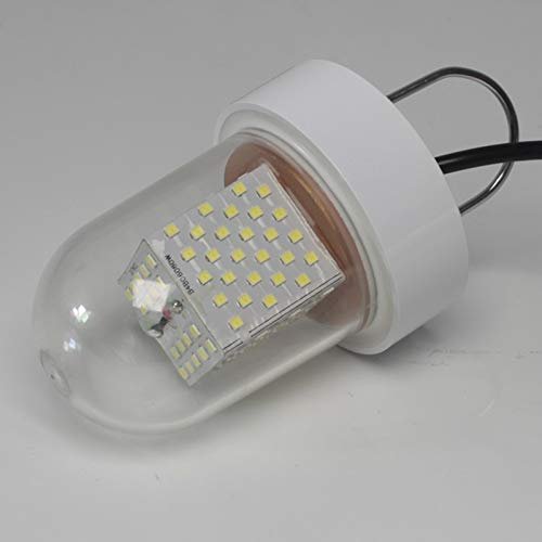 DC 12V 60W Green Underwater Super Bright Lamp Submersible Deep Drop Night Fishing Light (White)