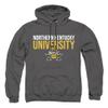 Northern Kentucky University Official Stacked Unisex Adult Pull-Over Hoodie, Charcoal, Medium view 1
