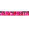 Country Brook Design - 1/2 Inch Romantic Hearts Polyester Webbing, 50 Yards view 2