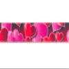 Country Brook Design - 1/2 Inch Romantic Hearts Polyester Webbing, 50 Yards view 3