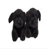 Happy Feet Slippers Black Lab Animal Slippers for Adults and Kids, Cozy and Comfortable, As Seen on Shark Tank (Small) view 2