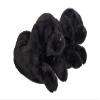 Happy Feet Slippers Black Lab Animal Slippers for Adults and Kids, Cozy and Comfortable, As Seen on Shark Tank (Small) view 3
