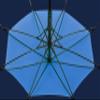 umenice Small Quantity, Fast Finishing Logo Printing Umbrella, Company Promotion Event, Wedding Event, Festival Gift, Printing Your Name or Logo On The Umbrella Cover RN view 4