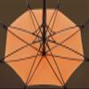 umenice Small Quantity, Fast Finishing Logo Printing Umbrella, Company Promotion Event, Wedding Event, Festival Gift, Printing Your Name or Logo On The Umbrella Cover OB view 4