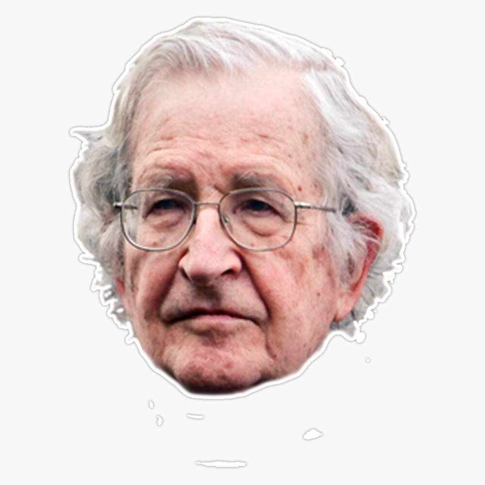 Noam Chomsky (Colour) Sticker Decal Bumper Sticker 5"