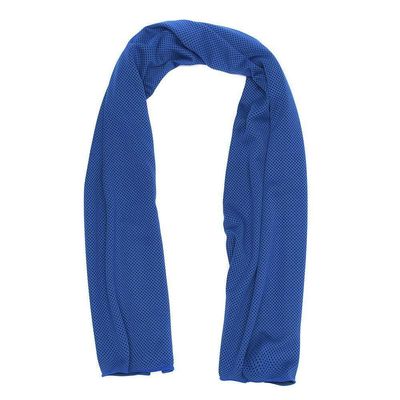 Blue Ice Cooling Towel for Sports/Workout/Fitness/Gym/Yoga Towels