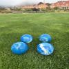 BuyBocceBalls Listing - Made in USA, Premium Quality Official Tournament 4 Ball Bocce Set - 107mm Marbleized Blue and White Balls; Regulation Size Balls 920 Grams (2 lbs. 1 oz.) view 2