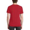 Next Level Premium 6010 Men's Tri-Blend Crew Premium Tee Pack of 2 view 3