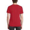 Next Level Premium 6010 Men's Tri-Blend Crew Premium Tee Pack of 2 view 3