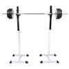 FAMIROSA Squat Barbell Rack Set view 1