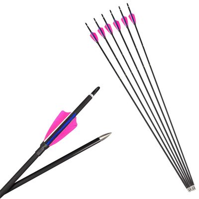 ZSHJGJR 32 Inch Archery Mix Carbon Arrows Hunting Arrows with Turkey Feather Fletching 600 Spine for Compound Bow Recurve Bow Traditional Bow 6/12 Pack (Pink & Blue, 12 Pack)