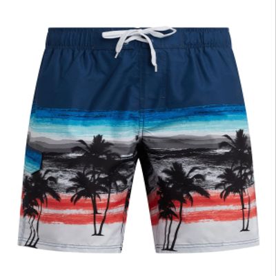 Seaside Swim Trunks