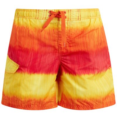 Zipline Swim Trunks