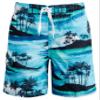 Islands Swim Trunks view 1