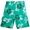 Miami Swim Trunks view 1