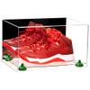 Better Display Cases Acrylic Shoe Pair Display Case - Large Rectangle Box with Mirror Case, Clear Base and Green Risers 15.25" x 12" x 9" (A082/V13) view 1