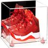 Better Display Cases Acrylic Shoe Pair Display Case - Large Rectangle Box with Mirror Case, Clear Base and Pink Risers 15.25" x 12" x 9" (A082/V13) view 1