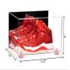 Better Display Cases Acrylic Shoe Pair Display Case - Large Rectangle Box with Mirror Case, Clear Base and Pink Risers 15.25" x 12" x 9" (A082/V13) view 2