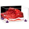 Better Display Cases Acrylic Shoe Pair Display Case - Large Rectangle Box with Mirror Case, Clear Base and Purple Risers 15.25" x 12" x 9" (A082/V13) view 1