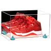 Better Display Cases Acrylic Shoe Pair Display Case - Large Rectangle Box with Mirror Case, Clear Base and Light Blue Risers 15.25" x 12" x 9" (A082/V13) view 1