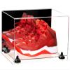 Better Display Cases Acrylic Shoe Pair Display Case - Large Rectangle Box with Mirror Case, Clear Base and Black Risers 15.25" x 12" x 9" (A082/V13) view 1