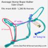 Average Horse 4 Knot Rope Halter & 8' Lead Set (Teal) view 2