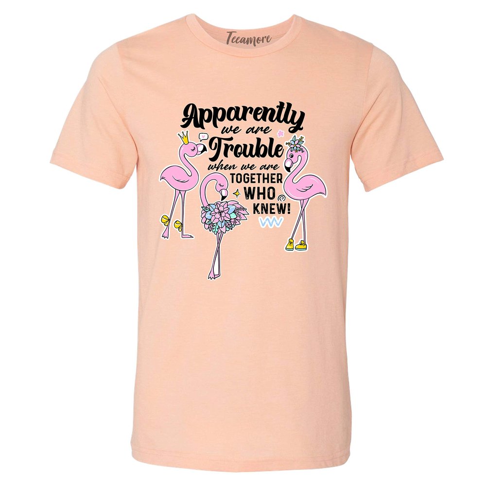 Apparently We're Trouble When We are Together Who Knew Flamingo Graphic Women V Neck T-Shirt