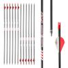 12PCS Archery Hunting 31" Carbon Arrow 400 Spine with 2.5 Vanes Removable Field Tips for Compound Bow & Recurve Bow view 1