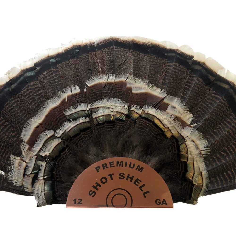 donlaz Premium Shot Shell Turkey Fan Mount (1) Large Sized Trophy Fan Display plaque kit Copper for a Real Shot Shell Look, by Far The Best Looking Turkey Mounts, Sleek Clean Look