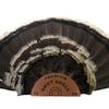 donlaz Premium Shot Shell Turkey Fan Mount (1) Large Sized Trophy Fan Display plaque kit Copper for a Real Shot Shell Look, by Far The Best Looking Turkey Mounts, Sleek Clean Look view 1