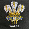 Wales Split Stripe Rugby Jersey (Small) view 2