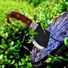Dessi D2 Steel Blade Axe Hatchet Gut Hook Tomahawk Hunting Knife Camping Hiking Damascus SM73 view 2