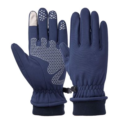 FUFU Gloves Winter Warm Gloves Touch Screen Gloves Windproof Warm Gloves Non-Slip Gloves (Color : Blue, Size : M)
