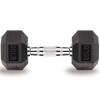 Gymnastics power 20 LB Hex Dumbbell Exercise & Fitness Weights Dumbbells for Women & Men 20 Pound Free Weight view 1