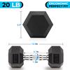 Gymnastics power 20 LB Hex Dumbbell Exercise & Fitness Weights Dumbbells for Women & Men 20 Pound Free Weight view 4