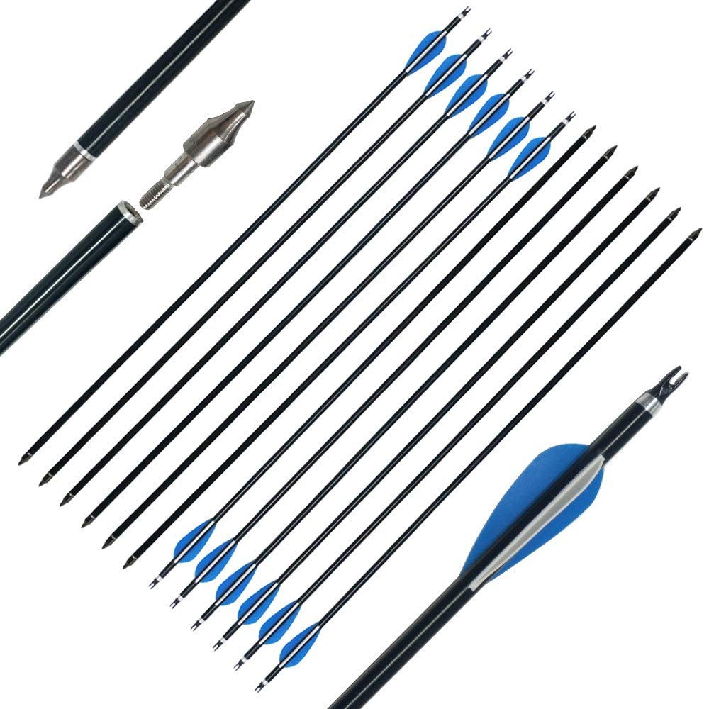 ZSHJGJR 30 Inch Archery Aluminum Arrows Spine 300 Hunting Target Arrows with Removable Arrow Points for Recurve Compound Bow 6 /12pcs (12pcs)