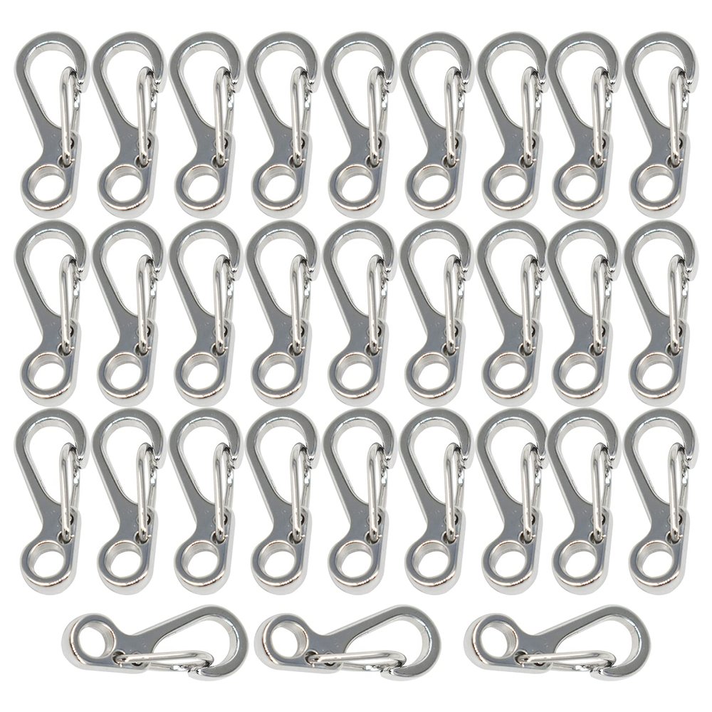Bytiyar 1inch 30 Pcs Mini Metal SF Carabiner Clips with Spring Wiregate Hook and Little Eye Hole for Keychain Key Paracord Backpack Clasps Tractical Kit Accessory, Silver