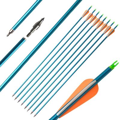 ZSHJGJR 31 Inch Archery Aluminum Arrow Spine 500 Hunting Target Arrows with Replaceable Tips for Recurve Compound Bow Shooting Practice 6 or 12pcs (12pcs)